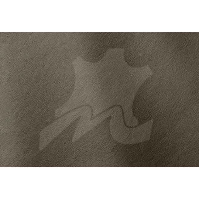 Aligo Group фото